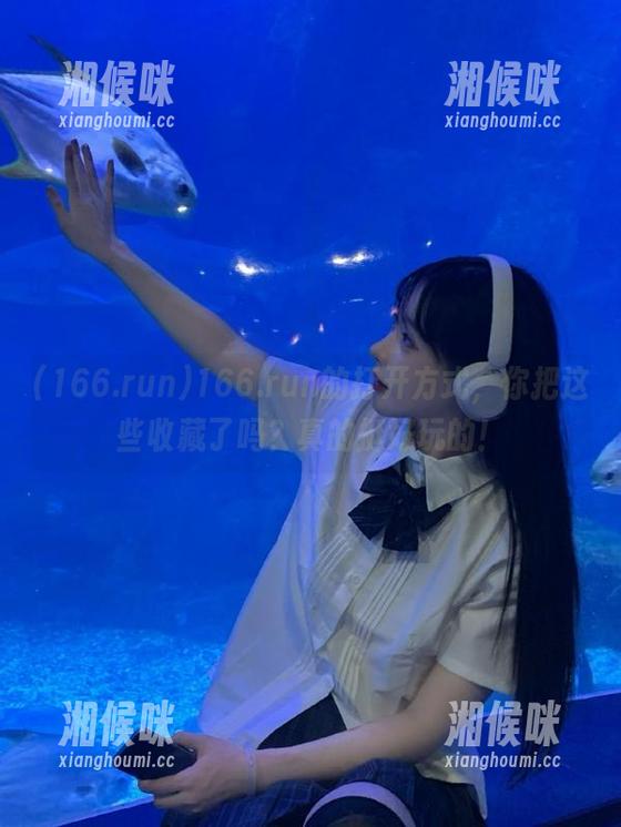166.run 166.run的打开方式,你把这些收藏了吗?真的挺好玩的!