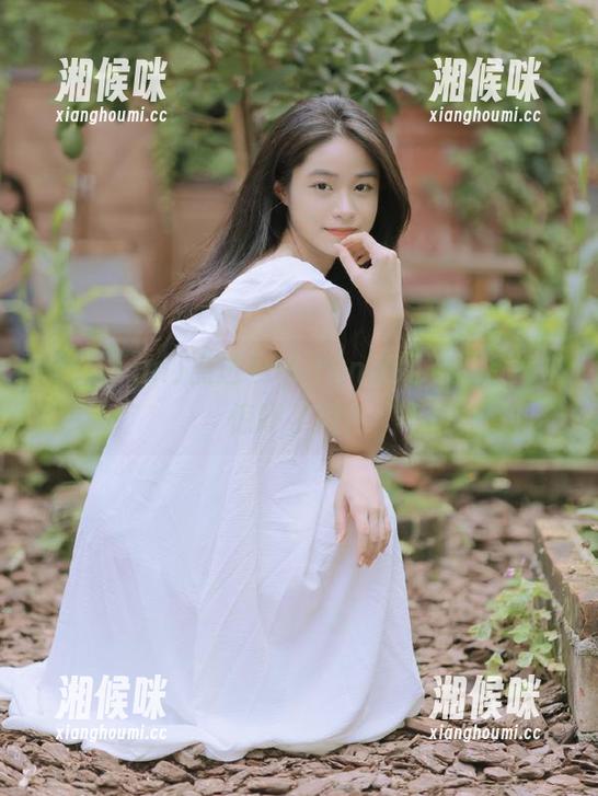 点进166.run官网，准备好被惊吓了吗？