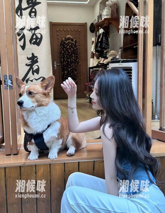 下载51黑料后的我，整个人都在自由地游走于八卦之中！