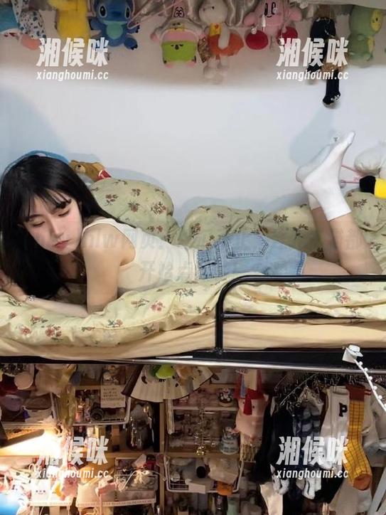 hlw网页：吃瓜不止，连我家猫都开始点评了！