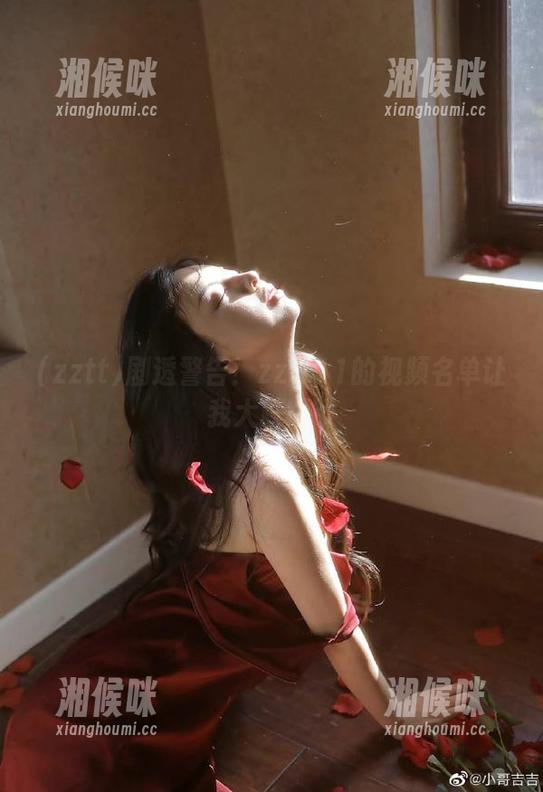 剧透警告！zztt11的视频名单让我大跌眼镜