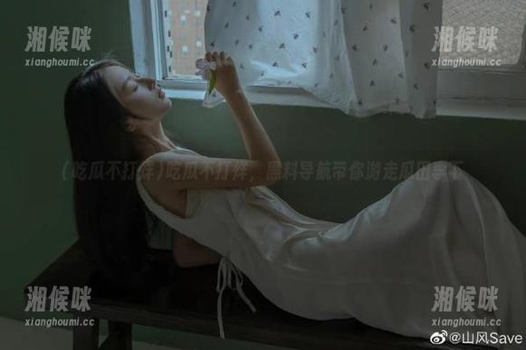 吃瓜不打烊，黑料导航带你游走瓜田李下