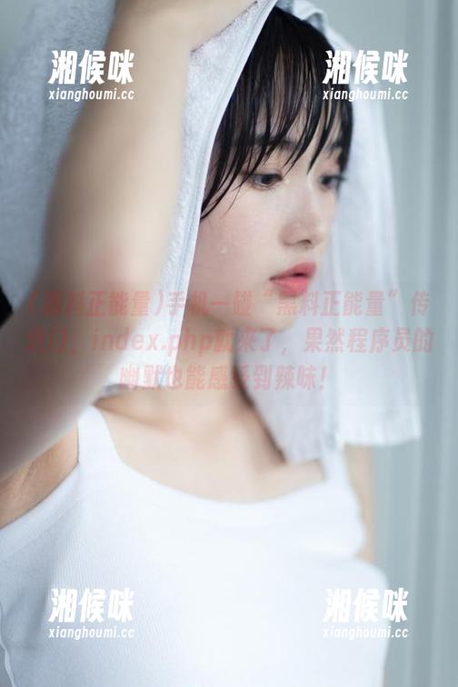 手机一碰“黑料正能量”传送门，index.php就来了，果然程序员的幽默也能感受到辣味！