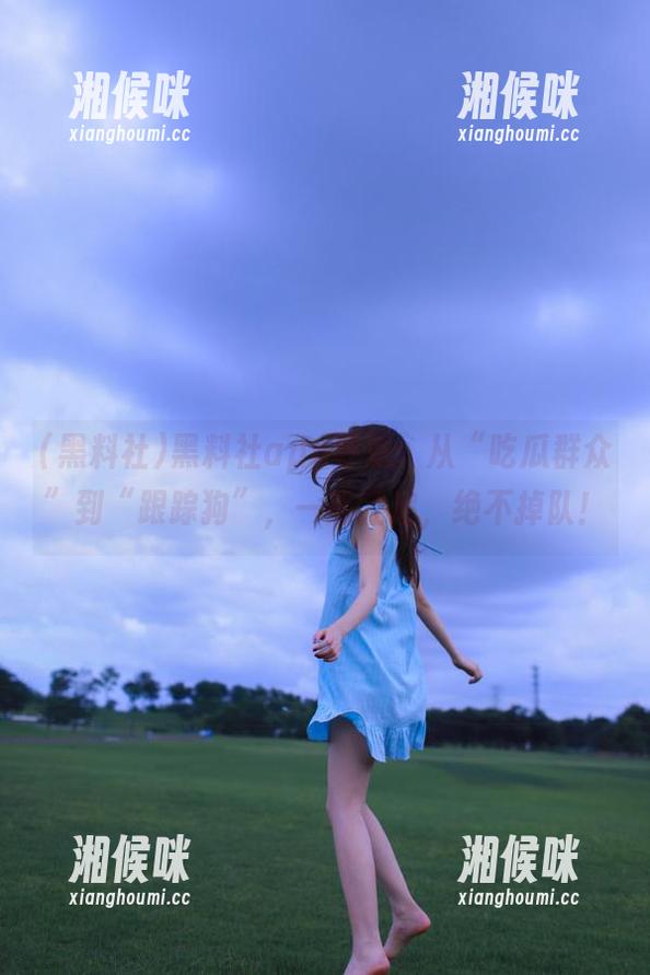 黑料社app导航：从“吃瓜群众”到“跟踪狗”，一路狂追，绝不掉队！
