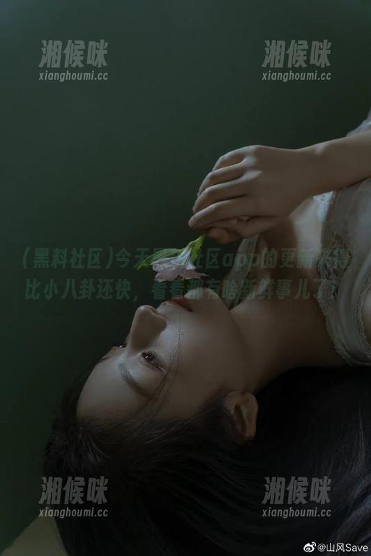 今天黑料社区app的更新来得比小八卦还快，看看都有啥新鲜事儿了！