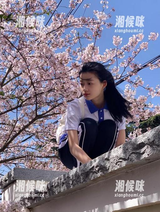 如果黑料网站再出个爆料指南，估计我得趴在电脑前看半天网址！